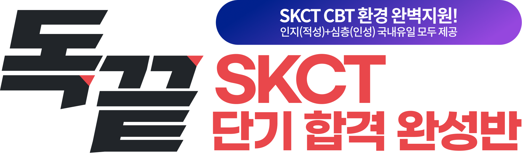 독끝 SKCT 단기 합격 완성반