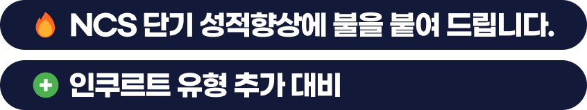NCS 단기 성적향상에 불을 붙여 드립니다. 인쿠르트 유형 추가 대비